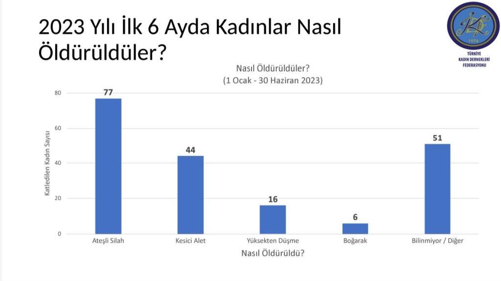 Kadın Cinayetleri 6 Aylık Rapor Yayında