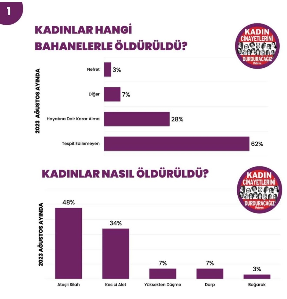 Kadın Cinayetleri Ağustos Ayı Verileri