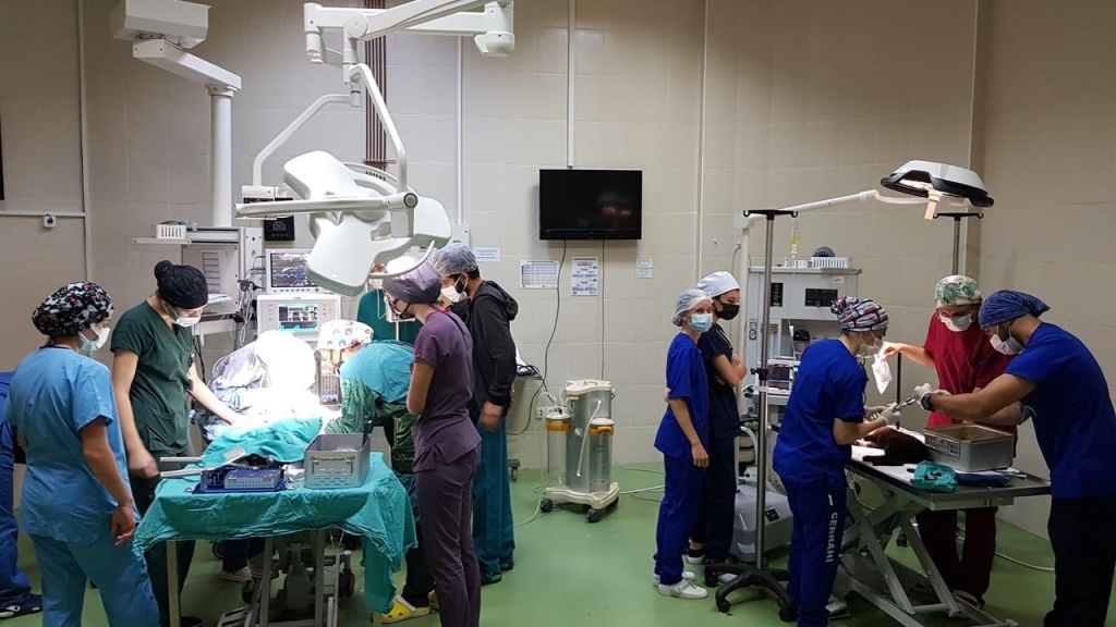 OMÜ Hayvan Hastanesi Tüm Bölgeye Hizmet Veriyor