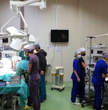 OMÜ Hayvan Hastanesi Tüm Bölgeye Hizmet Veriyor