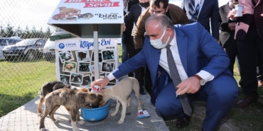 Canik Belediyesi'nde Sokak Hayvanlarının Hakkı Yendi