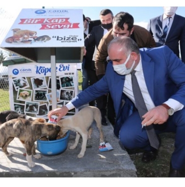 Canik Belediyesi'nde Sokak Hayvanlarının Hakkı Yendi