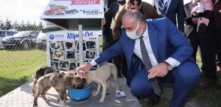 Canik Belediyesi’nde Sokak Hayvanlarının Hakkı Yendi