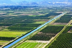 Samsun Tarım Ürünlerinde Türkiye'de İlk Sıralarda
