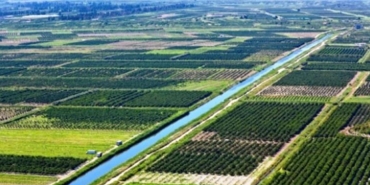 Samsun Tarım Ürünlerinde Türkiye'de İlk Sıralarda