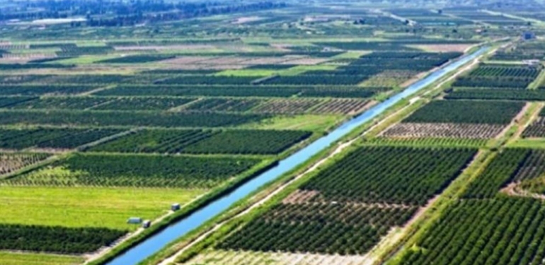 Samsun Tarım Ürünlerinde Türkiye'de İlk Sıralarda