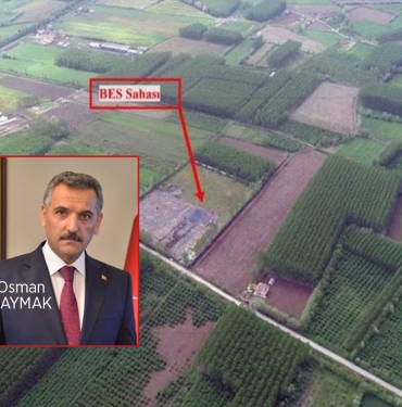 Baba'dan Samsun'a Biyokütle Kazığı