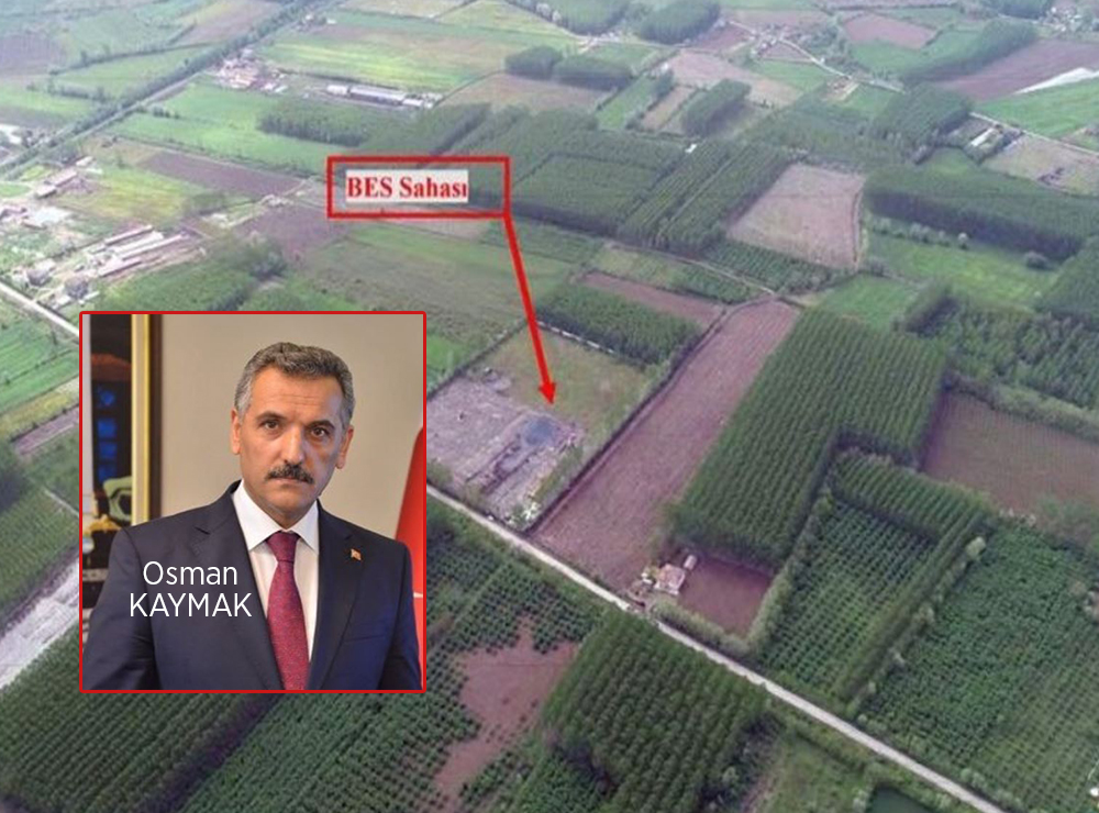 Baba'dan Samsun'a Biyokütle Kazığı