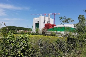 Samsun'da Ormanlar Katlediliyor