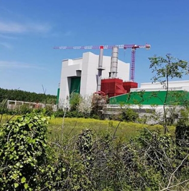 Samsun'da Ormanlar Katlediliyor