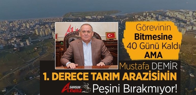 Samsun’da Kürtün Vadisi Planına Tepkiler Devam Ediyor