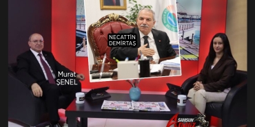Şenel'den Demirtaş'a Gönderme