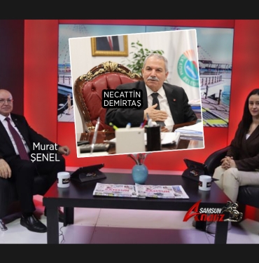 Şenel'den Demirtaş'a Gönderme
