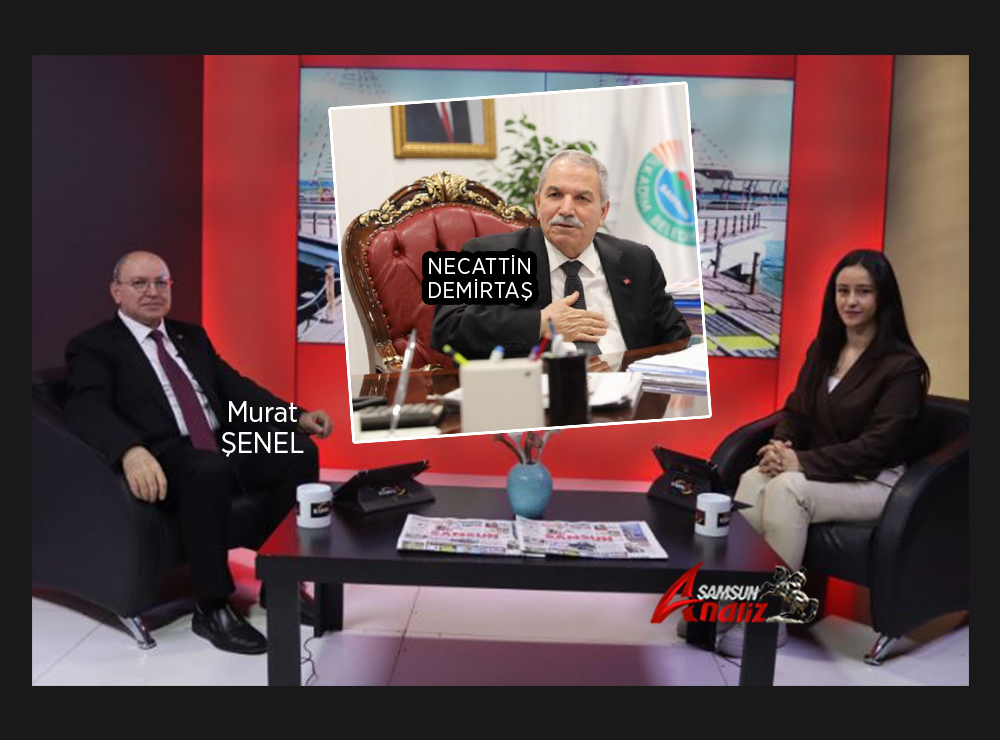 Şenel'den Demirtaş'a Gönderme