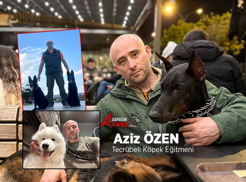 Can Dostlarınızın Can Dostu Aziz Özmen