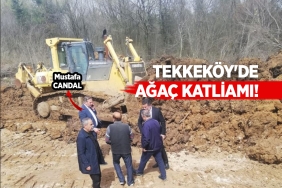 Tekkeköy'deki Tabiat Parkı'nda Ağaç Katliamı!