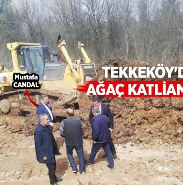 Tekkeköy'deki Tabiat Parkı'nda Ağaç Katliamı!