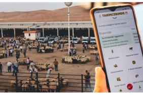 Kurbanlık Hayvanlar 3 Adımda Sorgulanabilecek