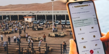 Kurbanlık Hayvanlar 3 Adımda Sorgulanabilecek