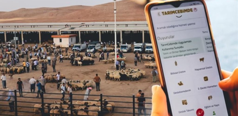 Kurbanlık Hayvanlar 3 Adımda Sorgulanabilecek