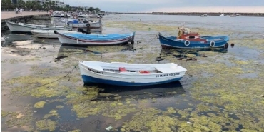 Samsun'daki Marina Projesinde ÇED Süreci Başladı