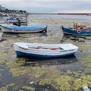 Samsun'daki Marina Projesinde ÇED Süreci Başladı