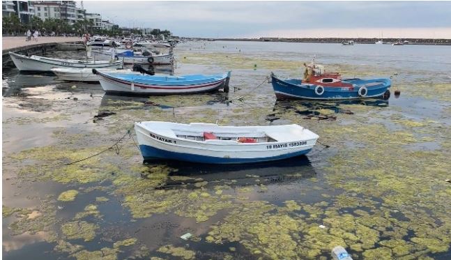 Samsun'daki Marina Projesinde ÇED Süreci Başladı