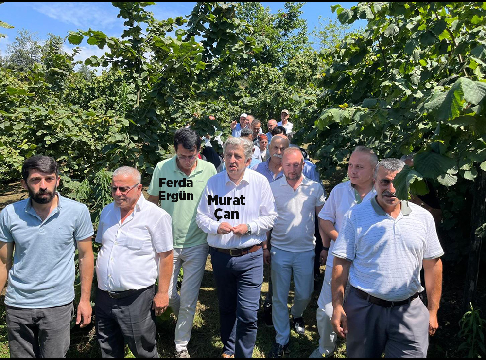 Fındık Üreticisi Yine Kaderine Terk Ediliyor!