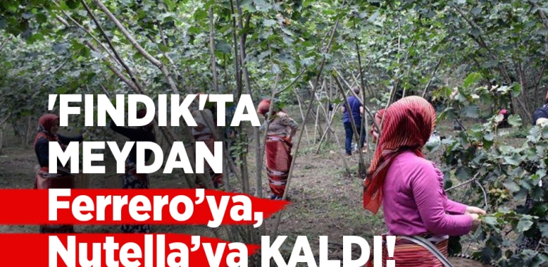 Fındık’ta Dönen Oyunlar Meclis Gündeminde