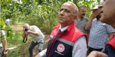 Samsun'da Rekolte Çalışmaları Hızla Devam Ediyor