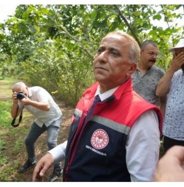 Samsun'da Rekolte Çalışmaları Hızla Devam Ediyor