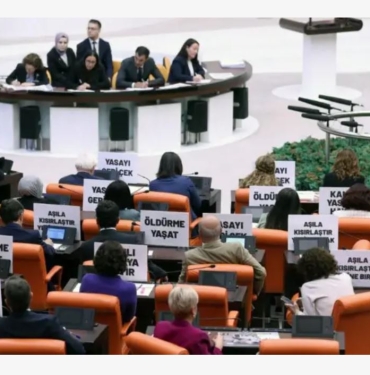 Sokak Hayvanları Düzenlemesi Yasalaştı