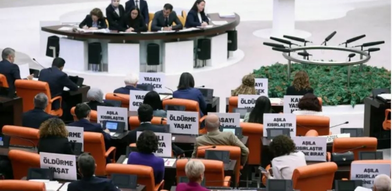 Sokak Hayvanları Düzenlemesi Yasalaştı