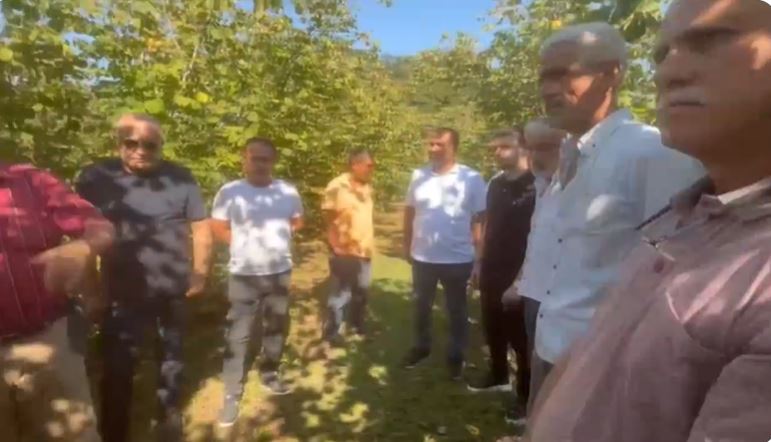 Fındık Üreticisi Çaresizlik İçinde