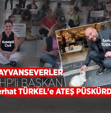 Hayvanseverler CHP'li Başkan Serhat Türkel'e Ateş Püskürdü