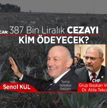 Samsun Sahillerindeki Kum Zambakları Tehlike Altında