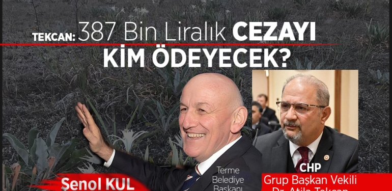 Samsun Sahillerindeki Kum Zambakları Tehlike Altında