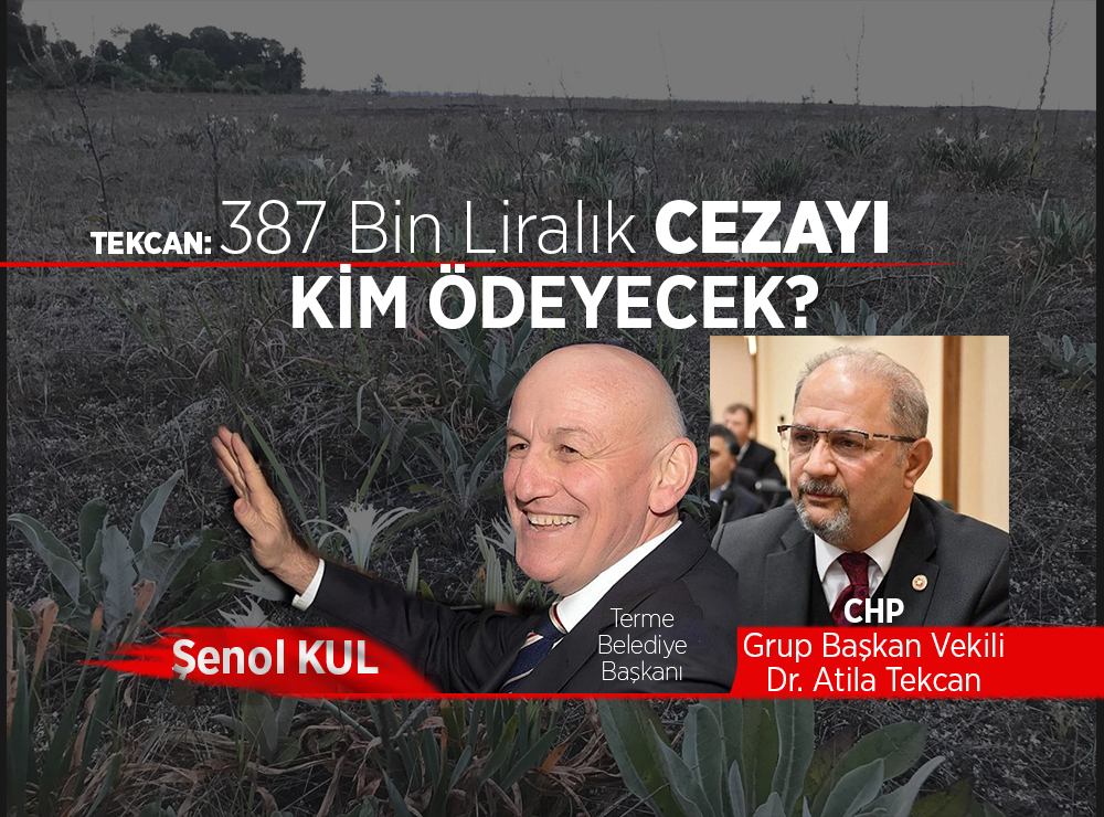Samsun Sahillerindeki Kum Zambakları Tehlike Altında