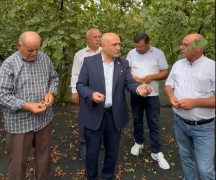 Samsun'da Fındık Üreticisi İflasın Eşiğinde