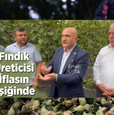 Samsun'da Fındık Üreticisi İflasın Eşiğinde