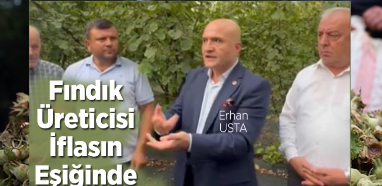 Samsun’da Fındık Üreticisi İflasın Eşiğinde