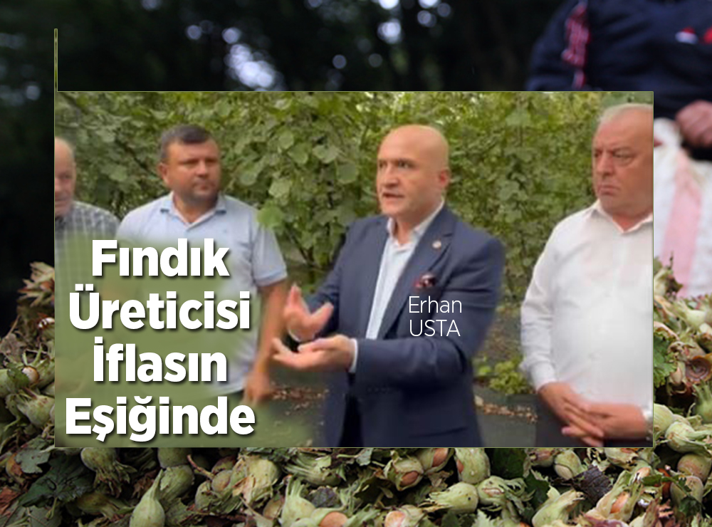 Samsun'da Fındık Üreticisi İflasın Eşiğinde