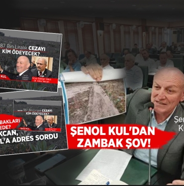 Şenol Kul, Kum Zambaklarının Adresini Veremedi