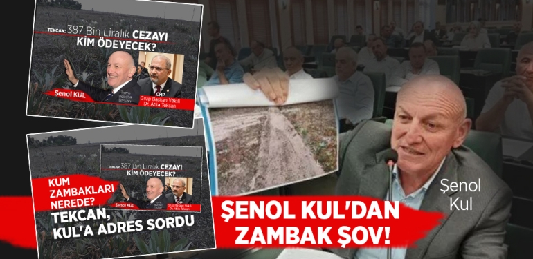 Şenol Kul, Kum Zambaklarının Adresini Veremedi