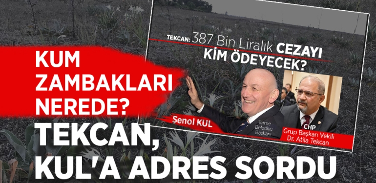 Tekcan, Kul’a Kum Zambaklarının Adresini Sordu