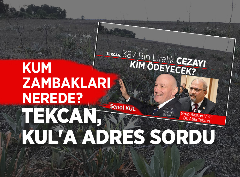 Tekcan, Kul’a Kum Zambaklarının Adresini Sordu