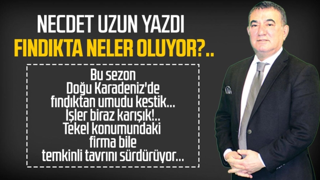 Fındıkta Neler Oluyor?