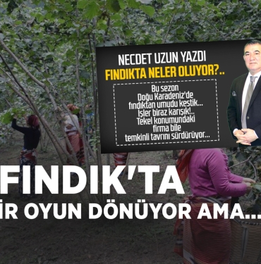 Fındıkta Neler Oluyor