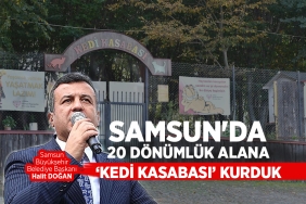 Samsun'da 'Kedi Kasabası' Kuruldu