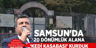 Samsun'da 'Kedi Kasabası' Kuruldu